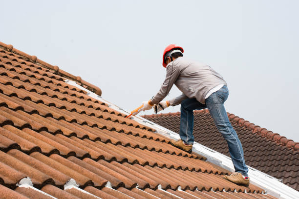 Best Cold Roofs  in Seward, AK
